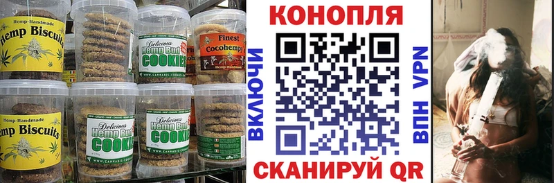 Canna-Cookies марихуана  Зима 