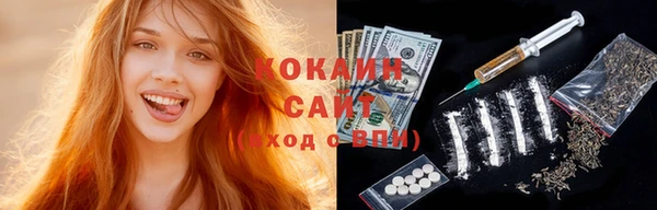 соль ск Бронницы