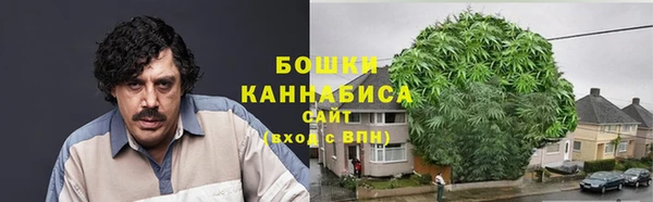 трава Верея
