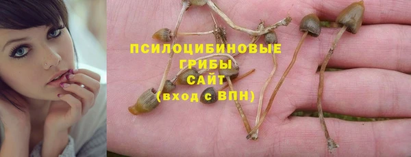 трава Верея